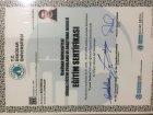 Çocuk Testleri Eğitimi