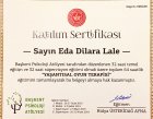Oyun Terapisi