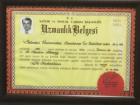 Uzmanlık Belgesi