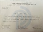 MMPI Uygulayıcı Eğitimi