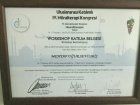 Workshop Katılım Belgesi