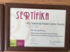 Sertifika