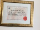 Uzmanlık Belgesi