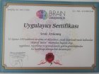 Objektif Testler