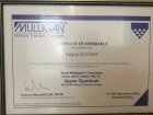 Mulligan Manuel Terapi