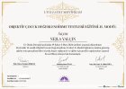 Objektif Çocuk Testleri 2