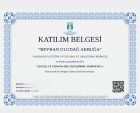 cocuk ve travma