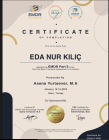 Sertifika