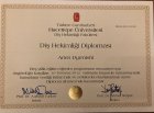 HACETTEPE UNIVERSITESI DIS HEKIMLIGI DIPLOMASI