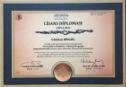 Lisans Diploması