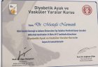 Diyabetik Ayak ve Vasküler Yaralar Kursu