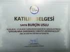 Çocuklarla Danışmada Yaratıcı Müdahaleler