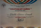 Kolposkopi Sertifikası