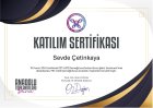 Sertifika