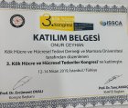 Kök Hücre