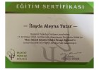 Çözüm Odaklı Kısa Terapi