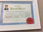 Uzmanlık Belgesi