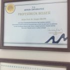 Profesörlük Belgesi