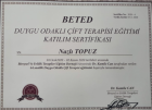 Cift terapisi