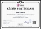 Sertifika