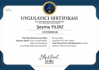 Filial Terapi Uygulayıcı Eğitimi