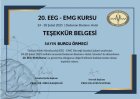 Sertifika