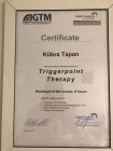 Tetik Nokta (Trigger point) Terapi