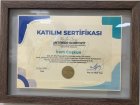 Anterior Kompozit