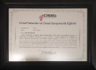 Cinsel tedaviler ve Cinsel Danışmanlık