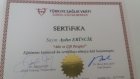 Egitimi Terapisi Aks