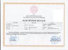 Aile Danışmanı