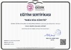 Oyun Terapisi
