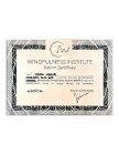 Mindfulness