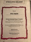 Çocuk Merkezli Oyun Terapisi