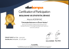 Digicertify BESLENME VE DİYETETİK ZİRVESİ Etkinliği Katılım Sertifikasi (1)