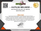 Sertifika