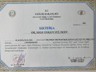 Laparaskopi Uygulama Kursu