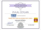 Türkçe Okul Çağı Dil Gelişimi Testi (TODİL; Topbaş & Güven, 2017)