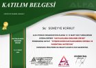 Yetişkinlerde enteral ve parenteral nutrisyon