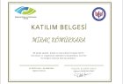 Kabul ve Kararlılık Terapisi