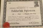Sertifika