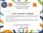 EMDR - TEMEL İLERİ DÜZEY OYUN TERAPİSİ - THERAPLAY AİLE TERAPİSİ