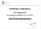 CERVICAL ASSESMENT