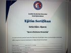 Sertifika