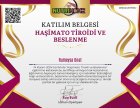 Sertifika