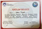 Eğitim Sertifika