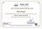 Sertifika