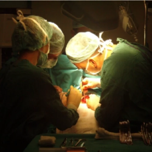 Klinik Fotoğrafı
