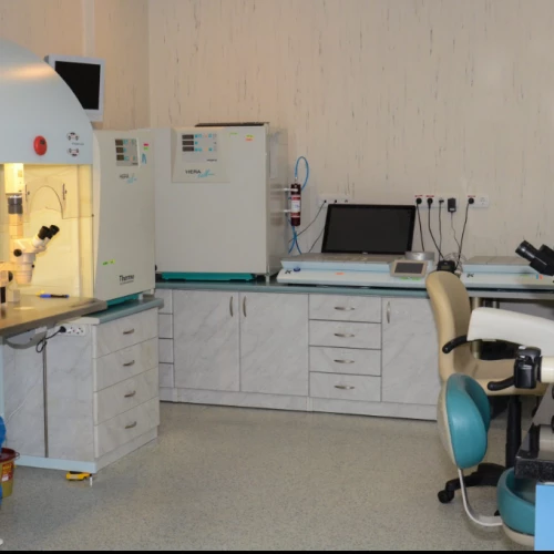 Klinik Fotoğrafı