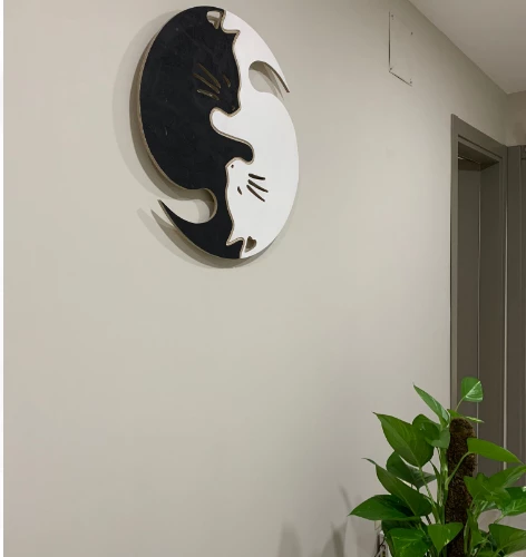 Klinik Fotoğrafı